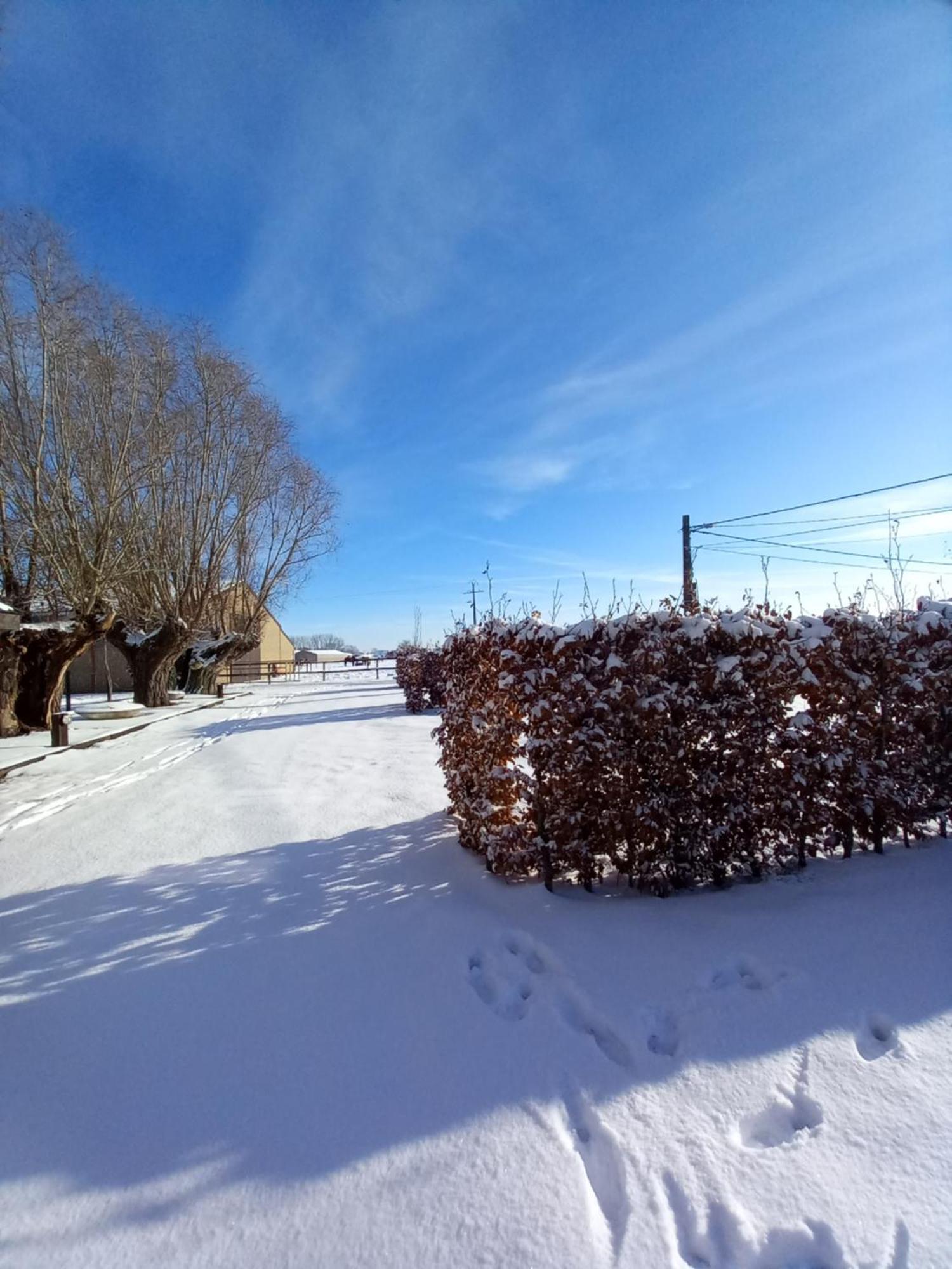Camping Des Saules Jurbise Exterior foto